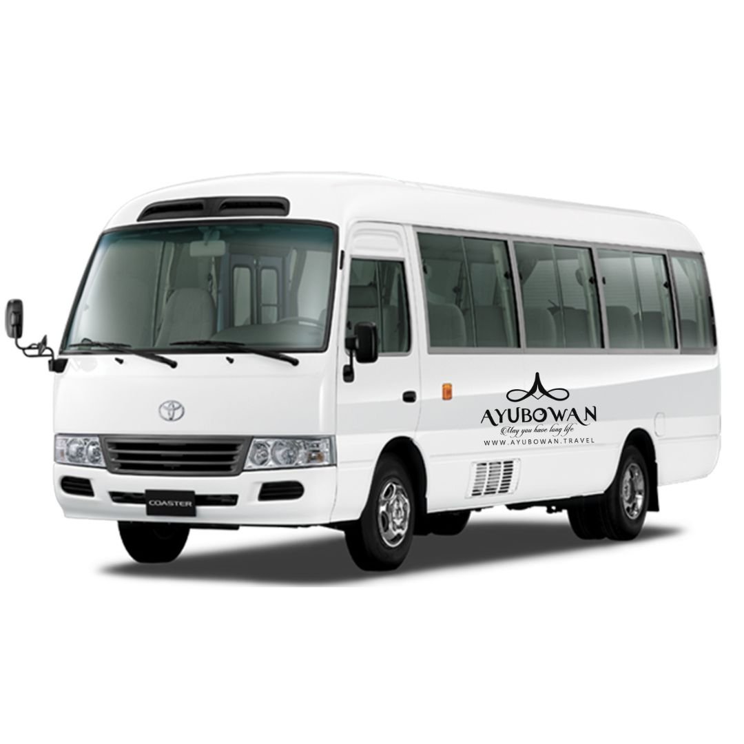 Bus - 28 Seater
